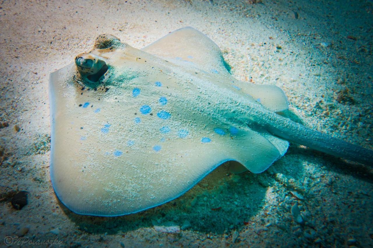 Forra Dive Resort Sunrise Koh Lipe Ngoại thất bức ảnh