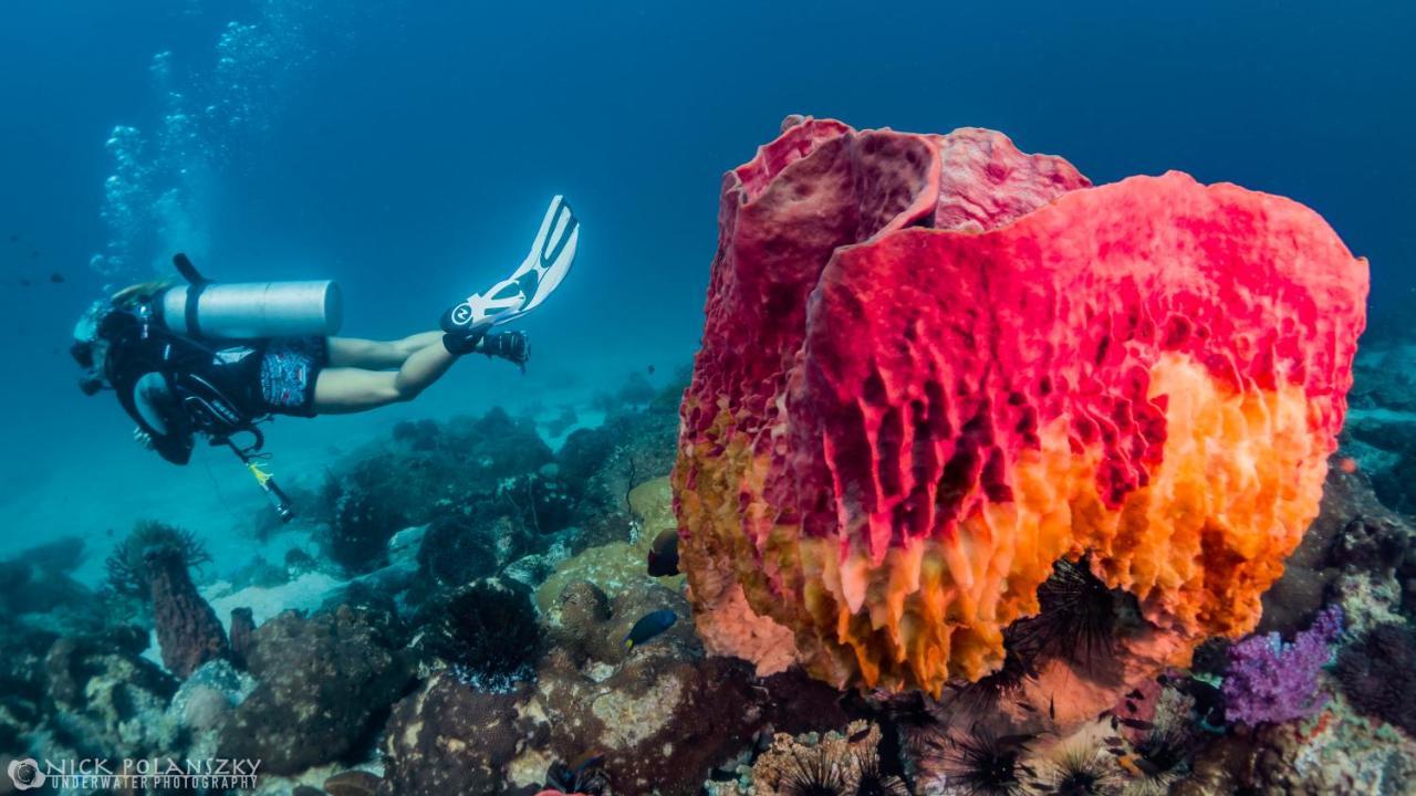 Forra Dive Resort Sunrise Koh Lipe Ngoại thất bức ảnh