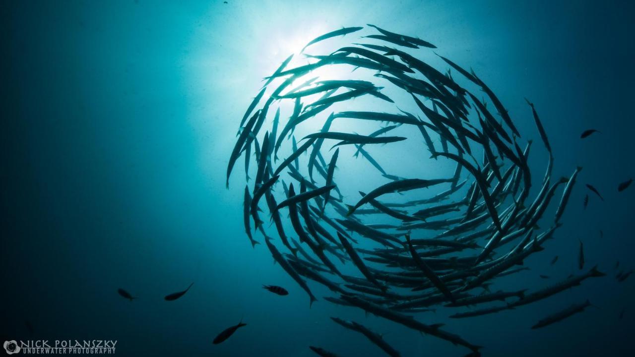 Forra Dive Resort Sunrise Koh Lipe Ngoại thất bức ảnh