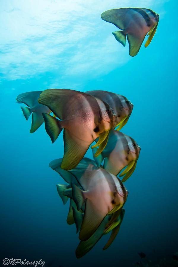 Forra Dive Resort Sunrise Koh Lipe Ngoại thất bức ảnh