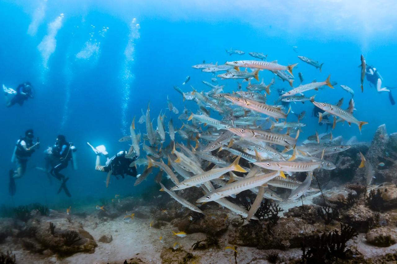 Forra Dive Resort Sunrise Koh Lipe Ngoại thất bức ảnh
