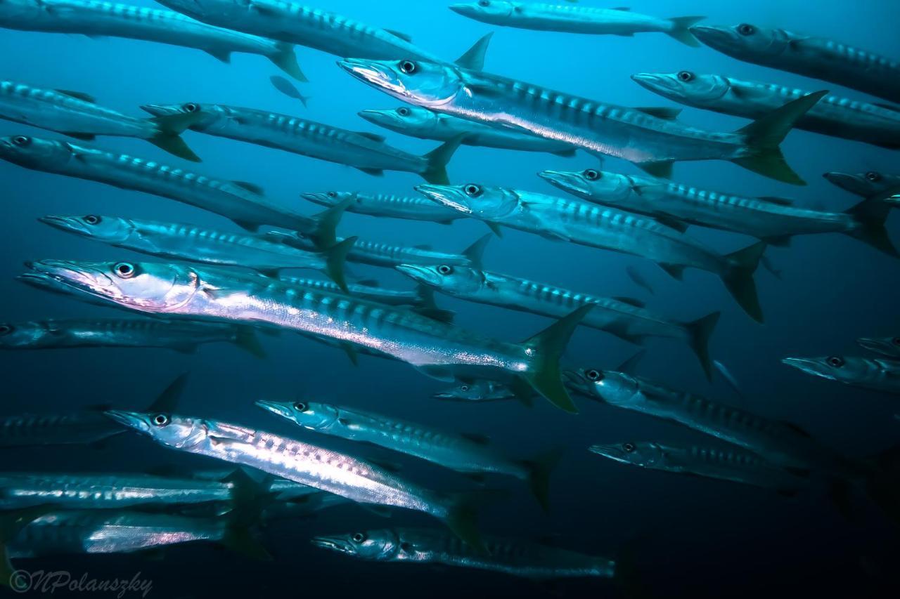Forra Dive Resort Sunrise Koh Lipe Ngoại thất bức ảnh