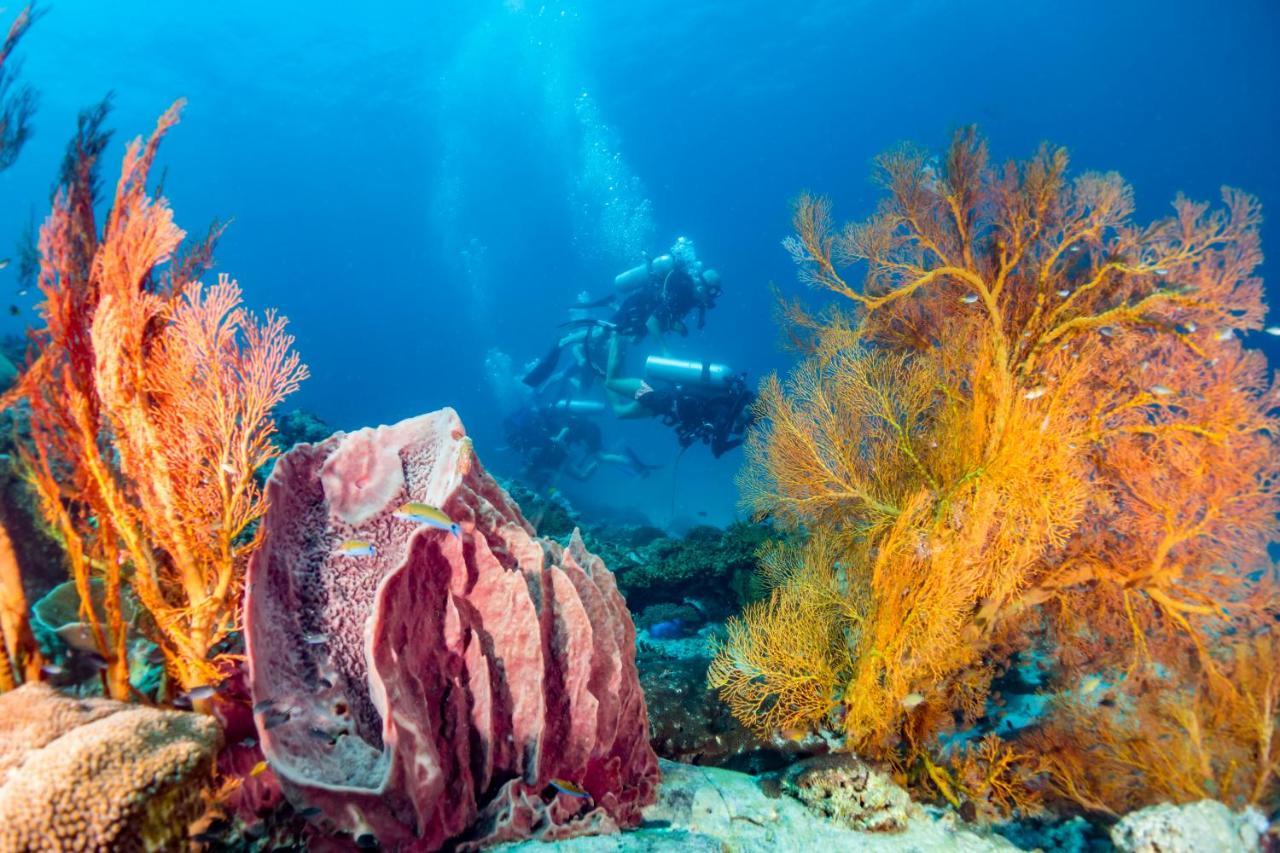 Forra Dive Resort Sunrise Koh Lipe Ngoại thất bức ảnh